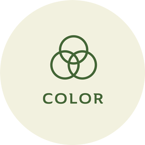 The Color Difference Between Loose Leaves and Matcha