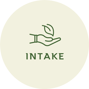 The Intake Difference Between Loose Leaves and Matcha