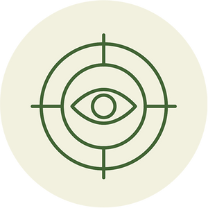 Memory/Focus icon