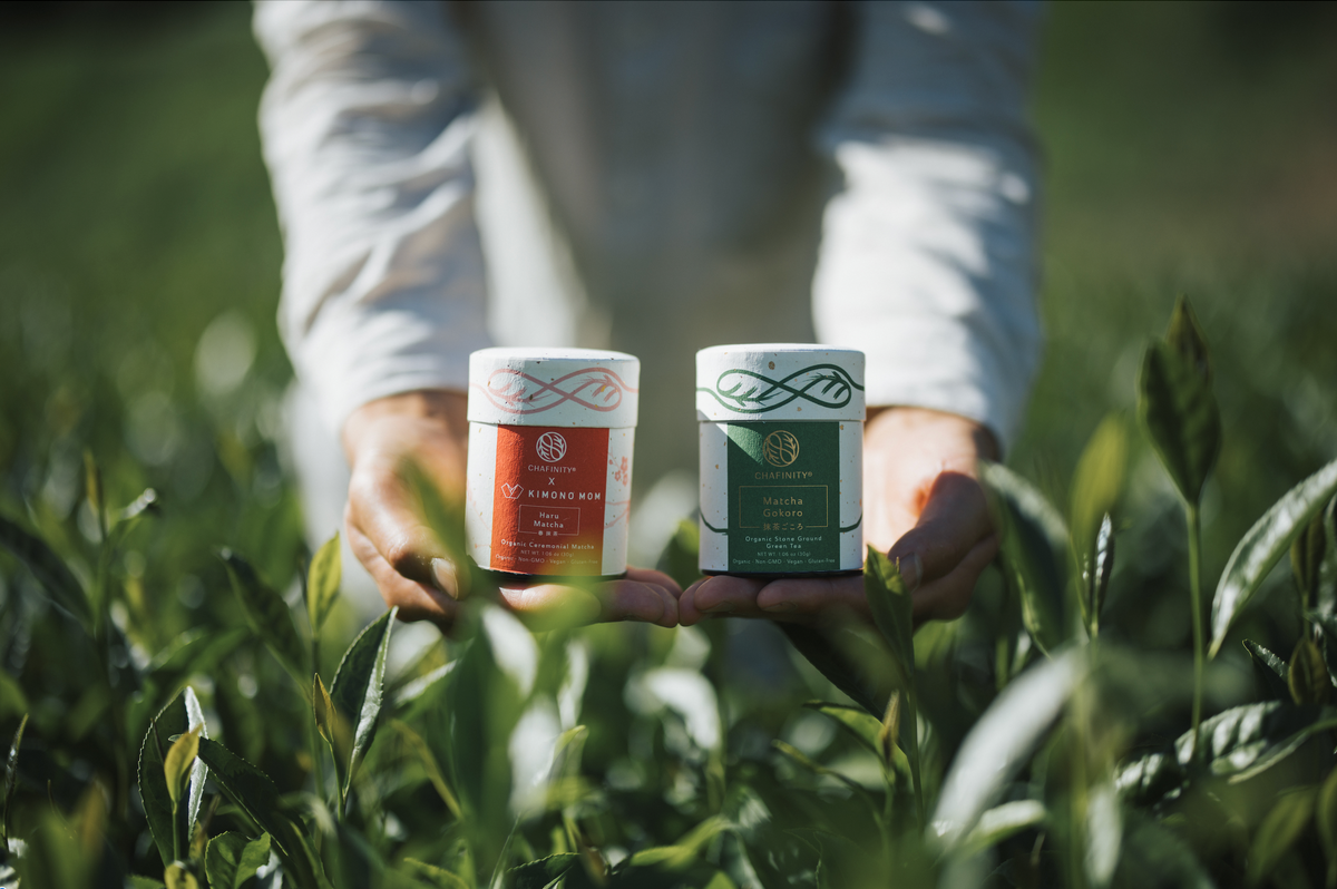 Organic Matcha Collection