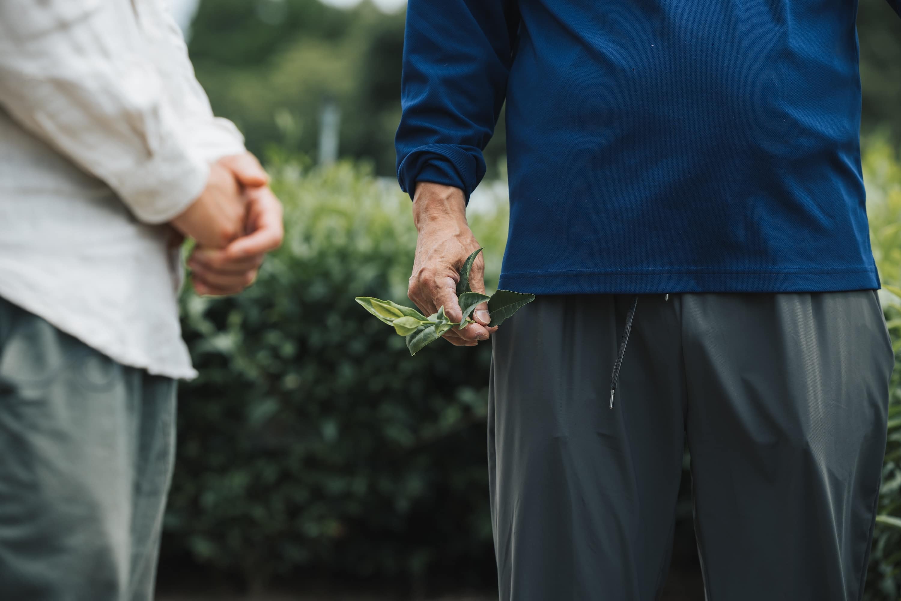 Two people holding hands with one person holding a plant in an outdoor setting