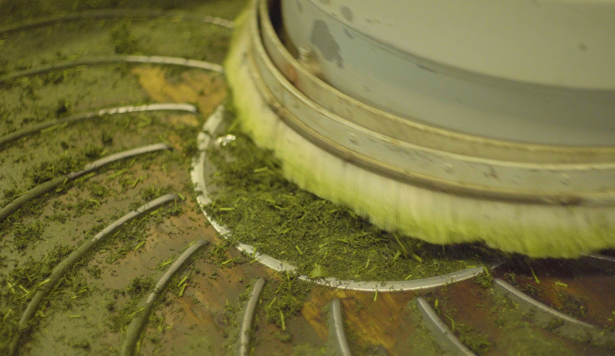 kneading the matcha to a fine powder